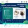 Promovare_Descoperire antreprenoriala_Workshop